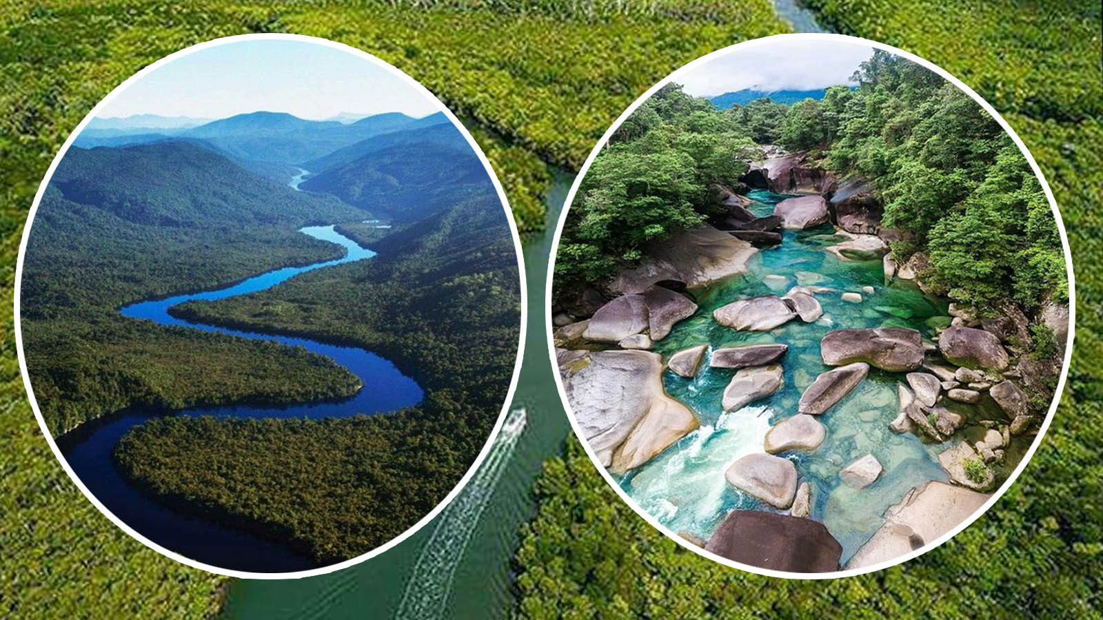 Explore Daintree River & Mossman Gorge Tour Adventures